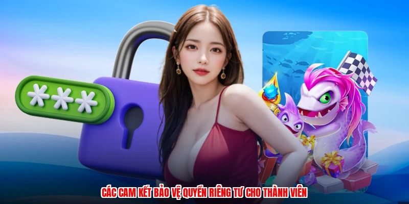 Các cam kết bảo vệ quyền riêng tư cho thành viên