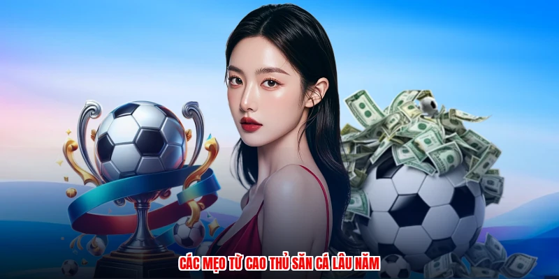 Các mẹo từ cao thủ săn cá lâu năm