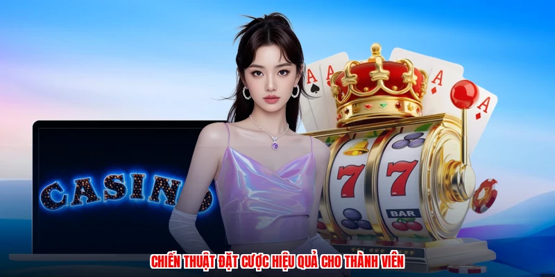 Chiến thuật đặt cược hiệu quả cho thành viên