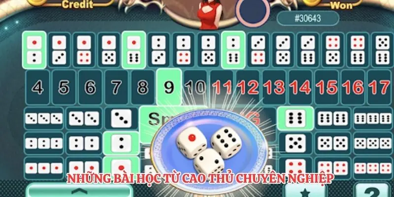 Những bài học từ cao thủ săn cá chuyên nghiệp
