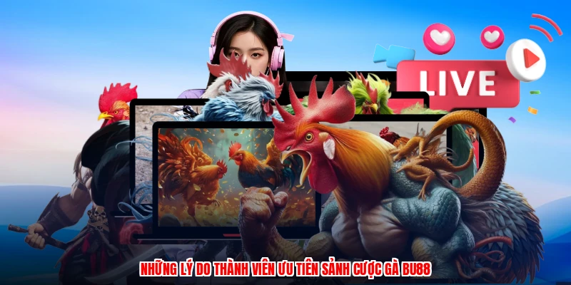 Những lý do thành viên ưu tiên sảnh cược gà BU88
