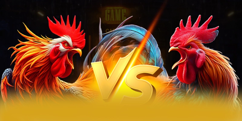[THUONG_HIEU] - Tổng kết một cách chi tiết.