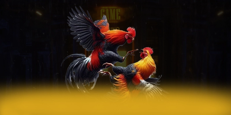 Cùng trải nghiệm FB88 - Cổng game bài uy tín số 1 số 1 Việt Nam